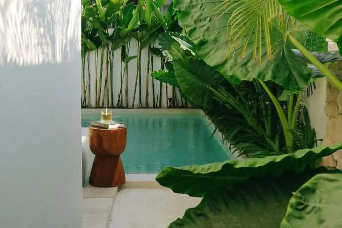 Mia Modern Tropical 2br In Pererenan Canggu (Bali)